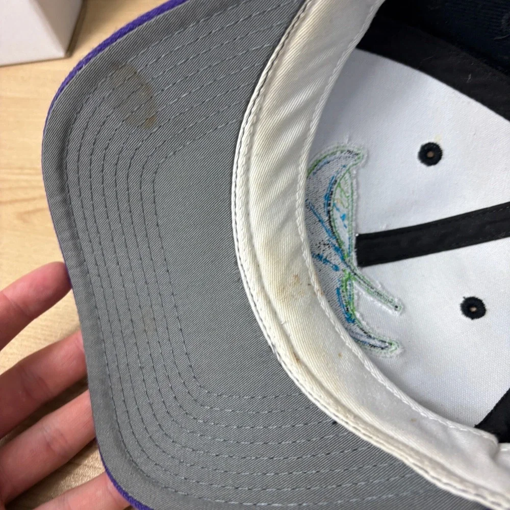 Vintage Tampa Bay Devil Rays Hat Snap Back Black MLB Baseball Sports Specialties